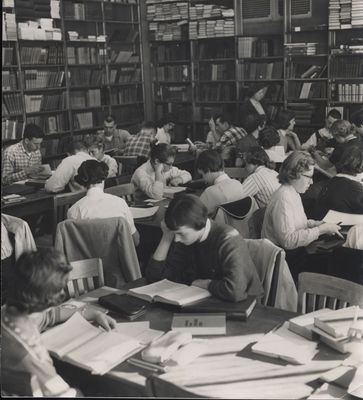 Students in the library sitting and reading 
