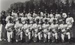 Team Photograph, Baseball by State University of New York College at Cortland