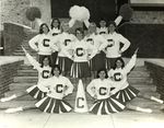 Cheer Team by State University of New York College at Cortland
