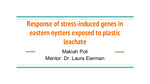 Response of stress related genes in Eastern Oysters exposed to plastic leachate
