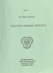 Chapter Annual Reports, 1991