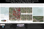 Analysis of Urban Tree Problems Identified by Community Tree Survey of the Village of Homer, NY. by Connor Brierton