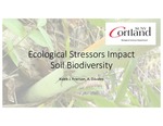 Ecological Stressors Impact Soil Biodiversity by Kaleb Frierson and John Carlile